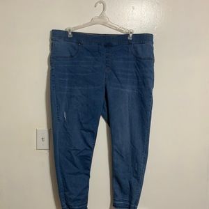 20/22 Terra Sky stretchy pants